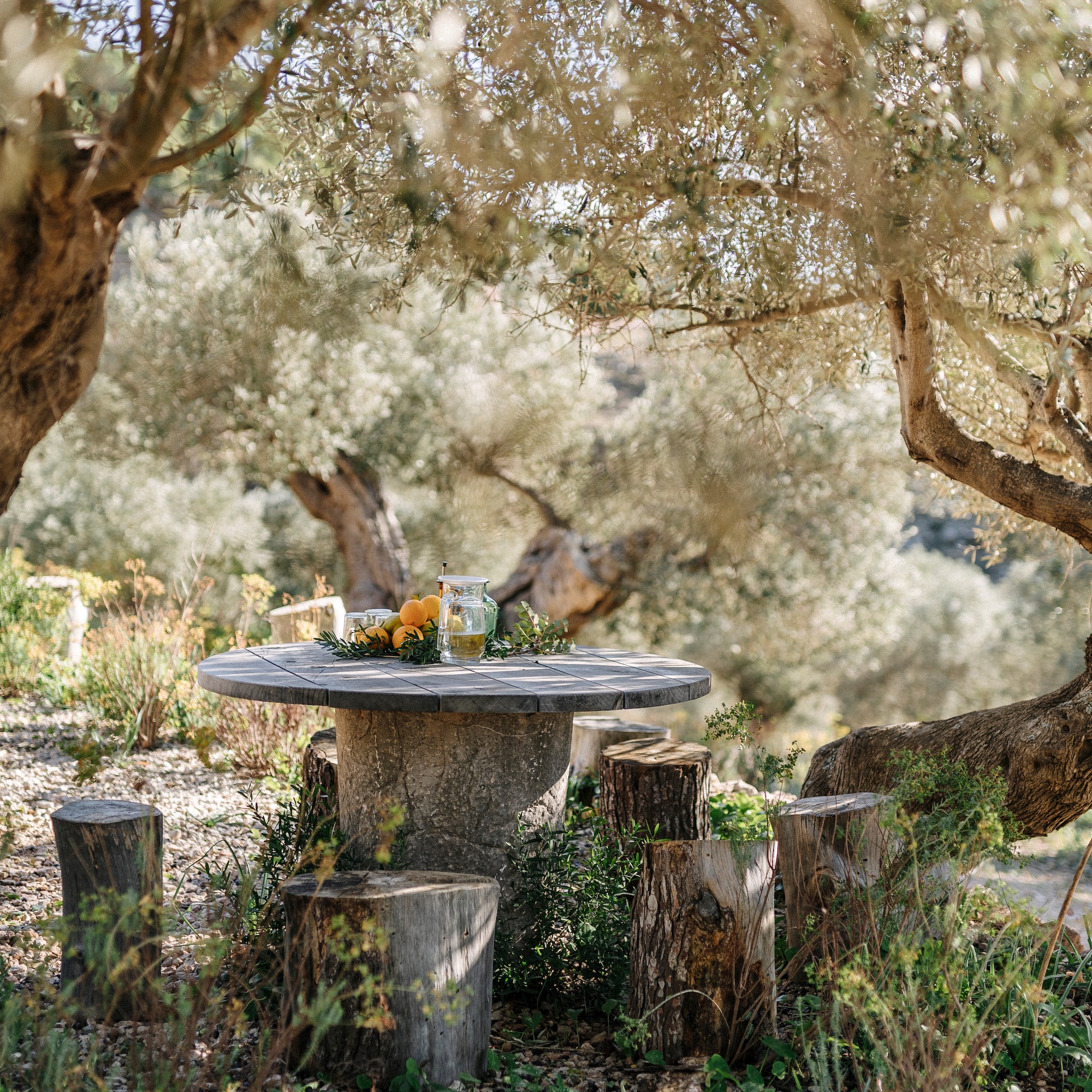 a table with a group of trees