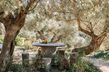 a table with a group of trees
