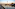 a water next to a city