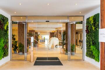 a glass door with a white rhinoceros statue inside