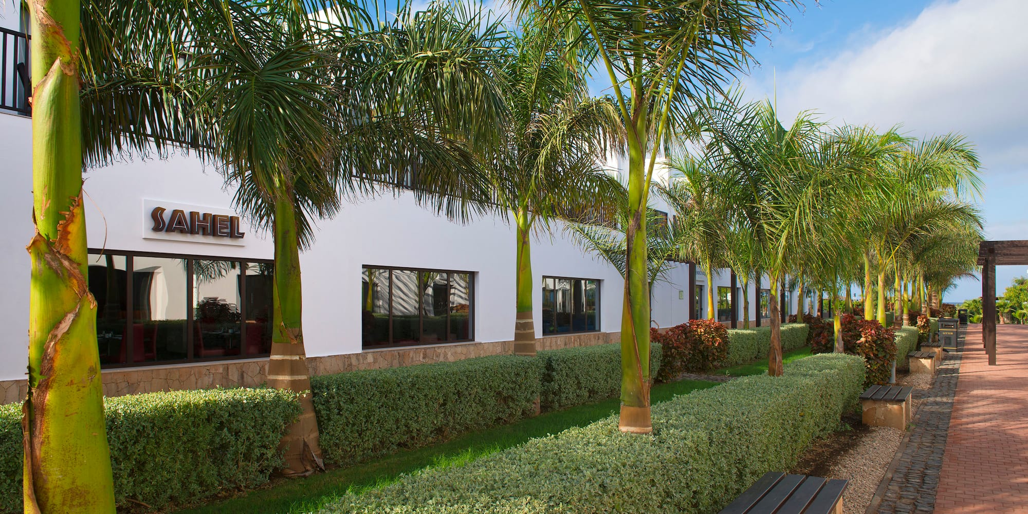 a row of palm trees next to a building