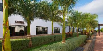 a row of palm trees next to a building