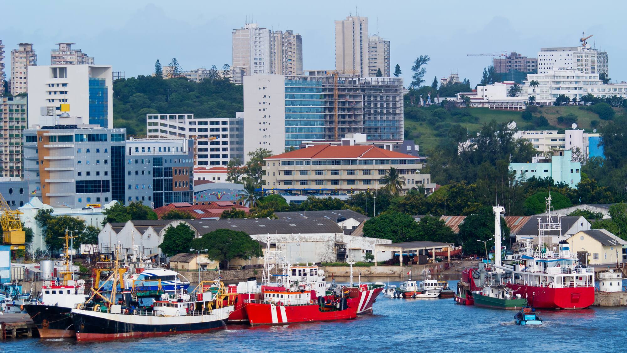 boats in a harbor with buildings in the background