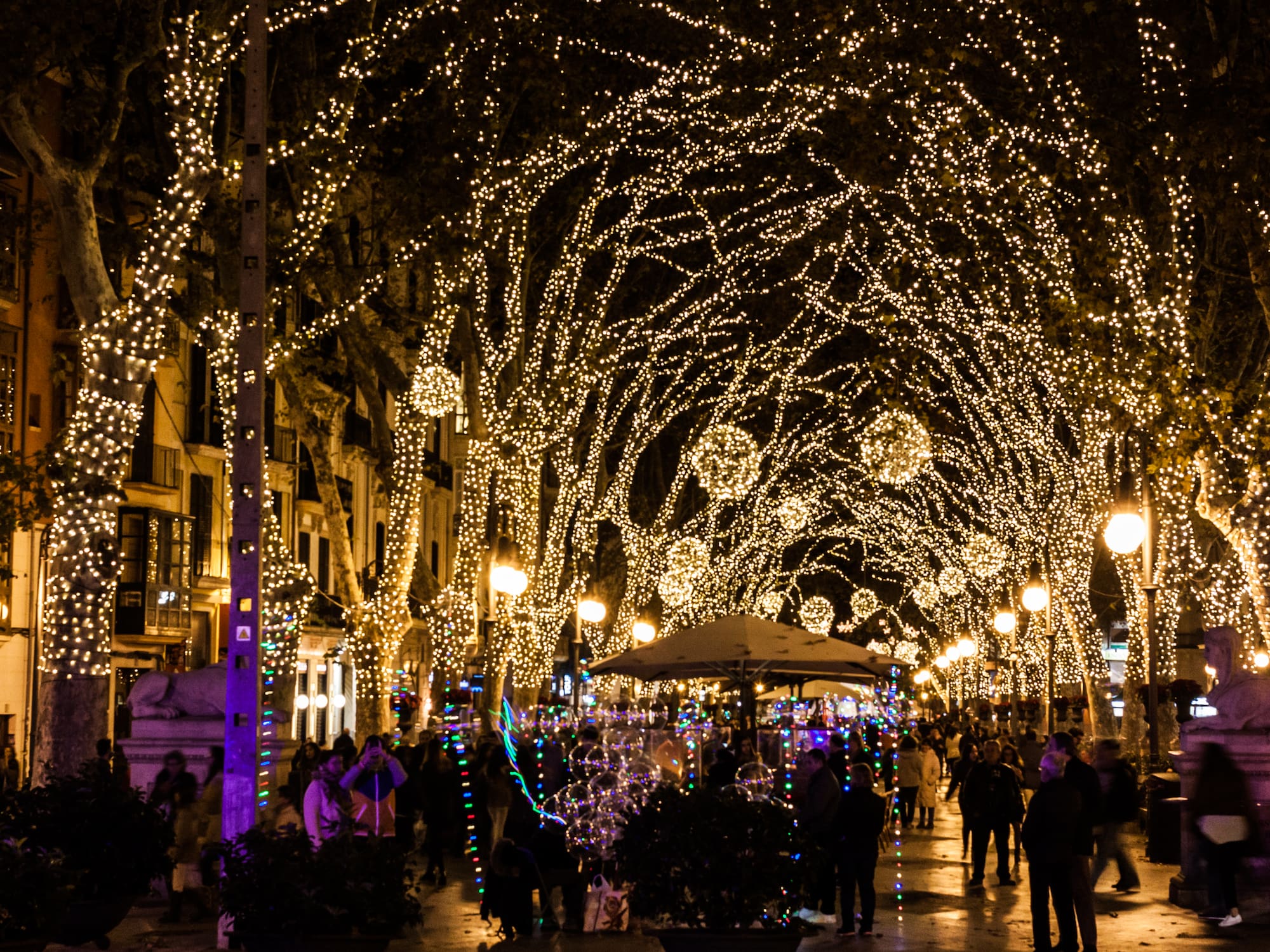 a group of people walking on a sidewalk with trees with lights