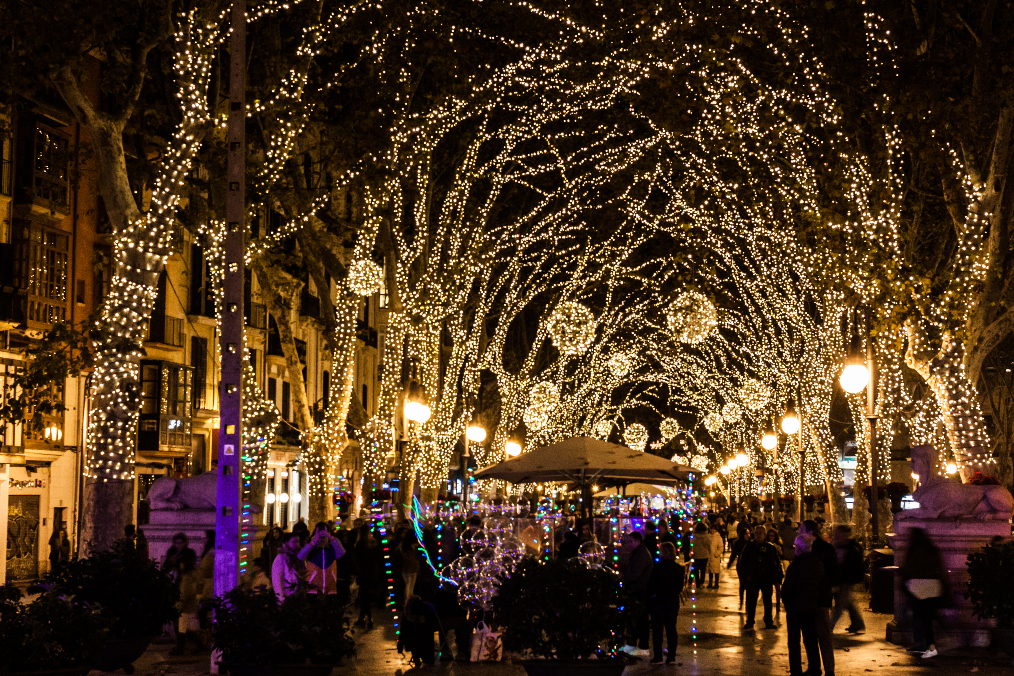 Bustling festive boulevard at night, trees arching with warm holiday lights.