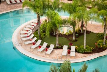 a pool with lounge chairs and palm trees