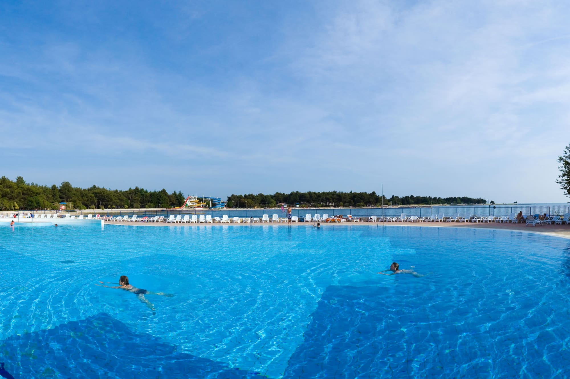 people swimming in a pool
