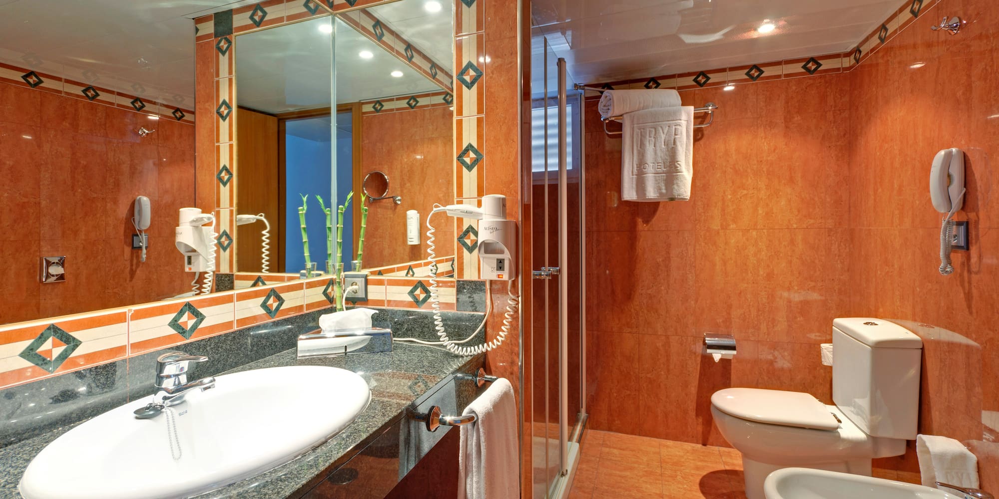 a bathroom with a sink and toilet