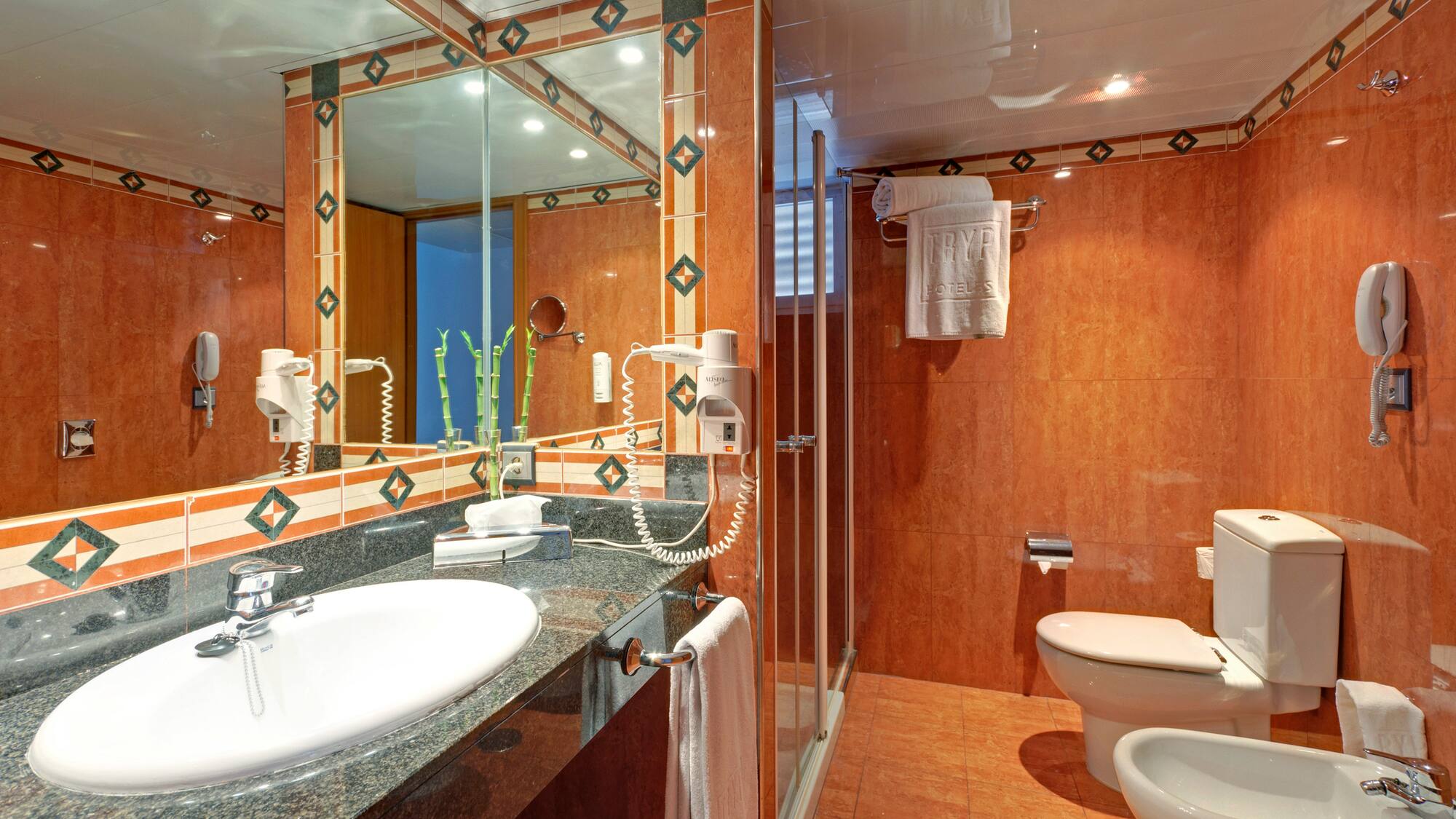 a bathroom with a sink and toilet