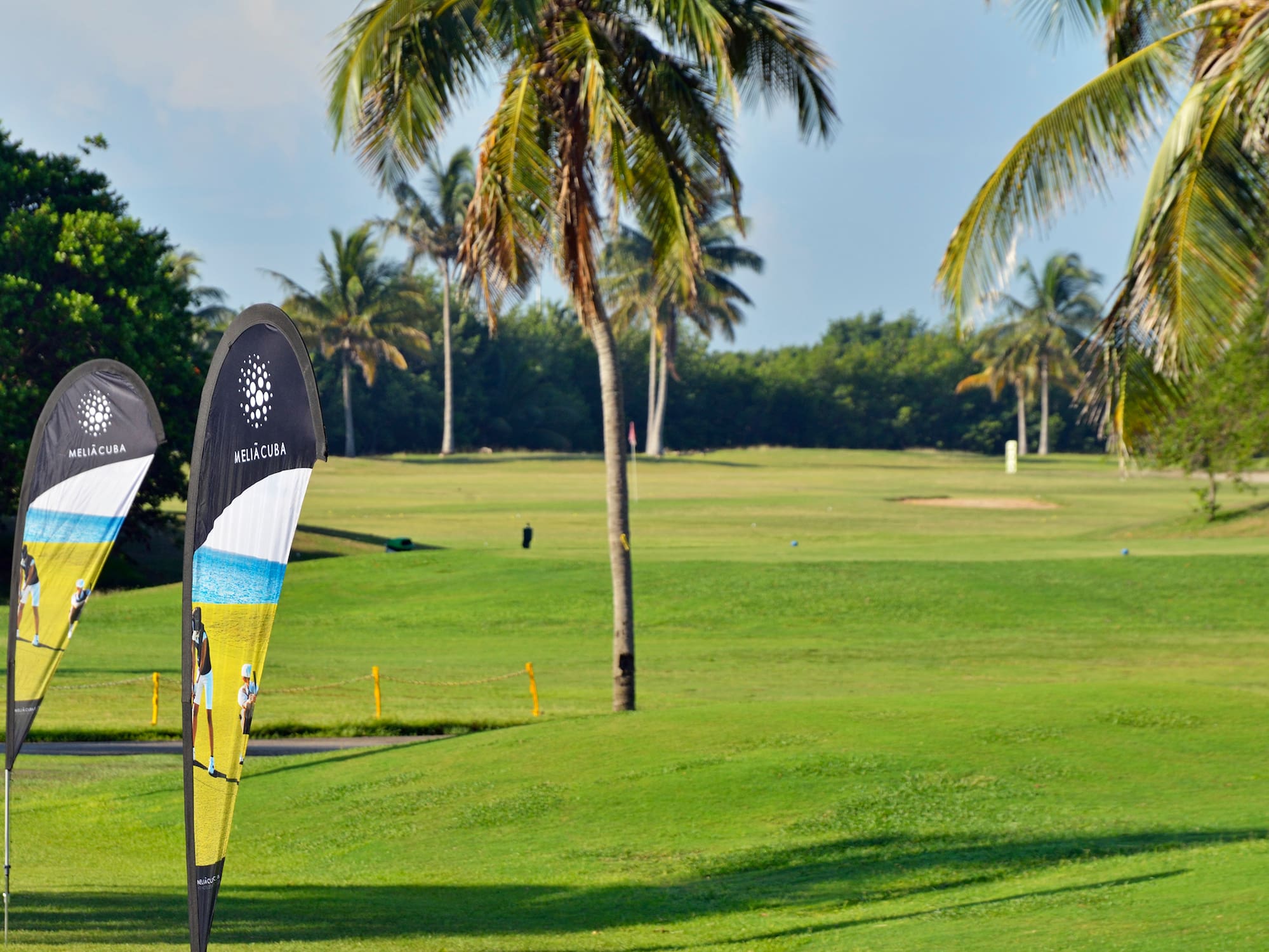 a flag on a golf course