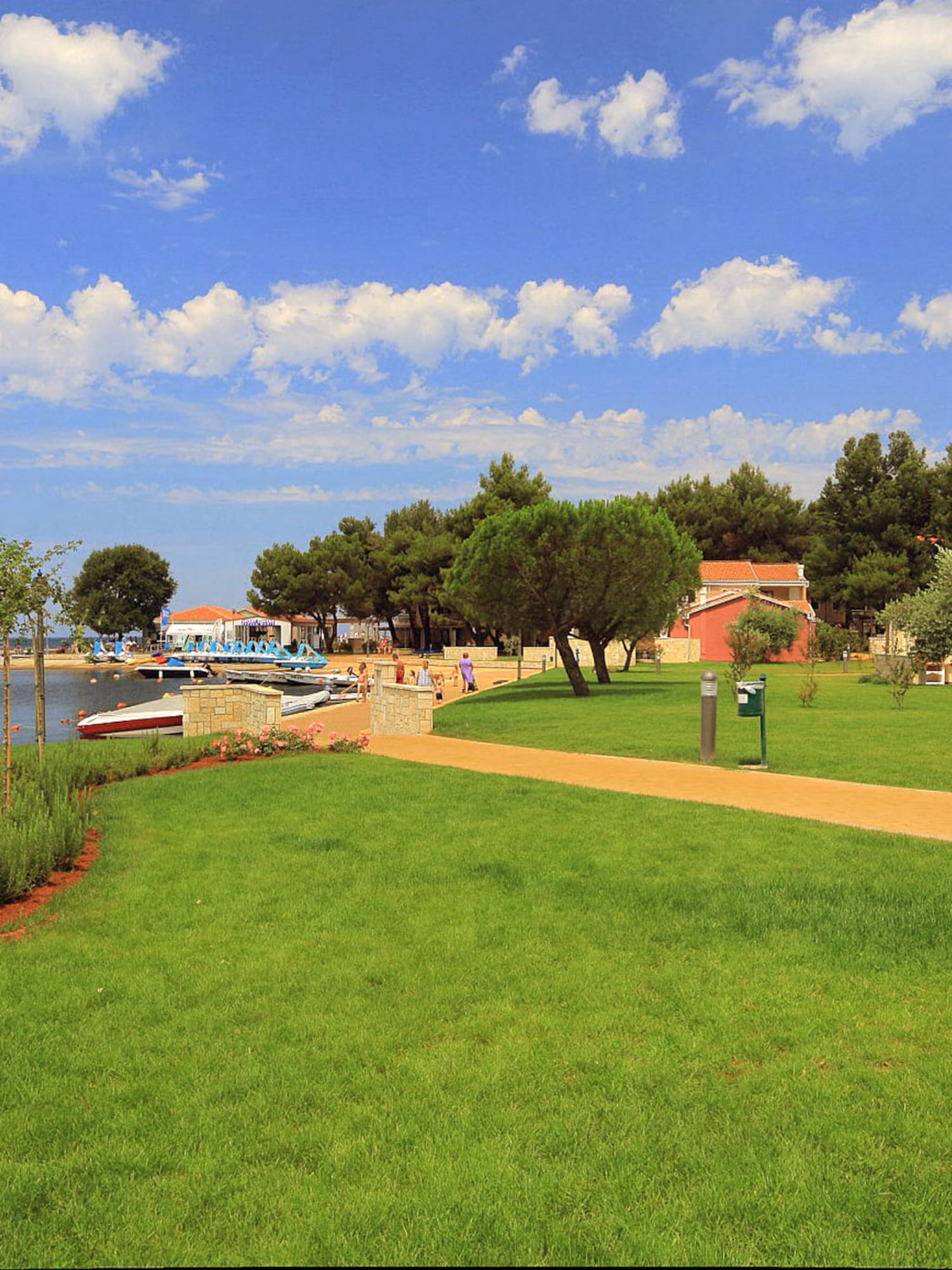 a green lawn with trees and a path by a body of water