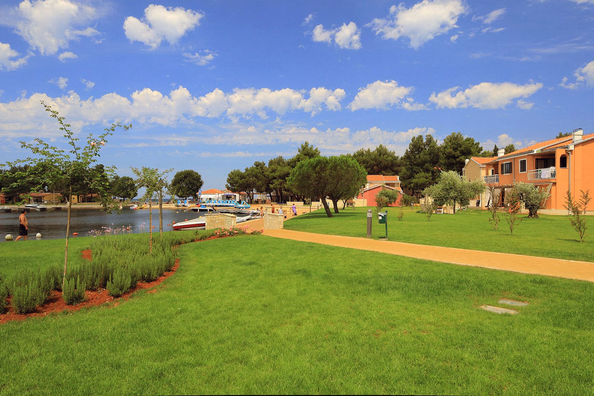 a green lawn with trees and a path by a body of water