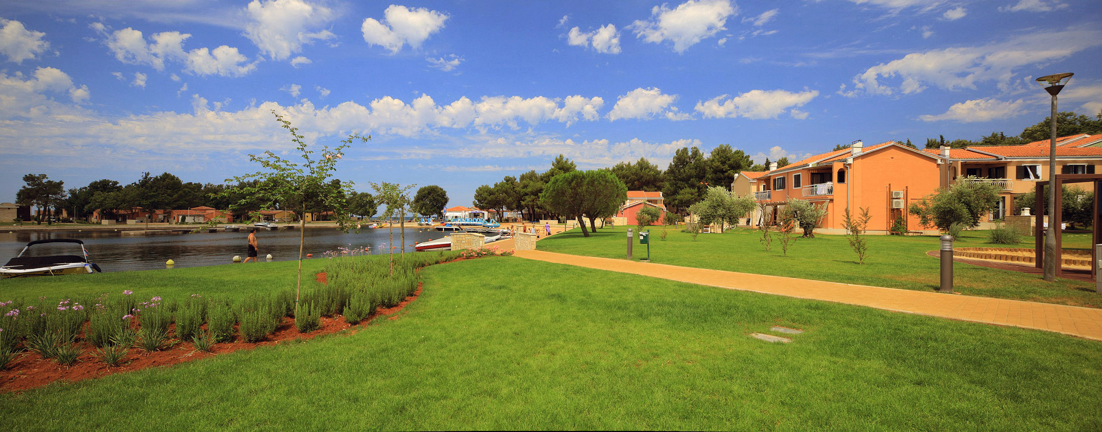 a green lawn with trees and a path by a body of water