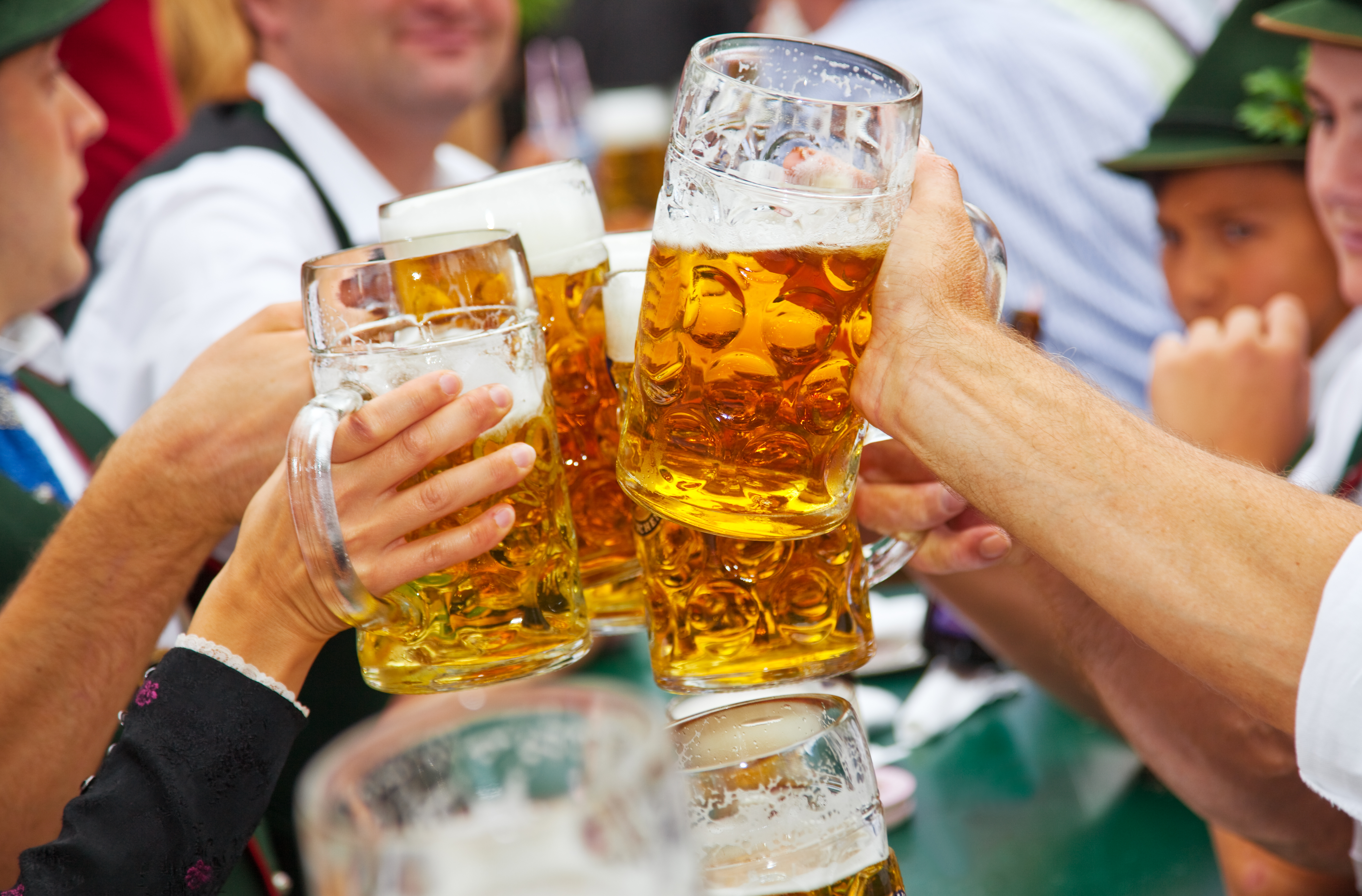 Oktoberfest toast: hands clinking large steins of golden beer.