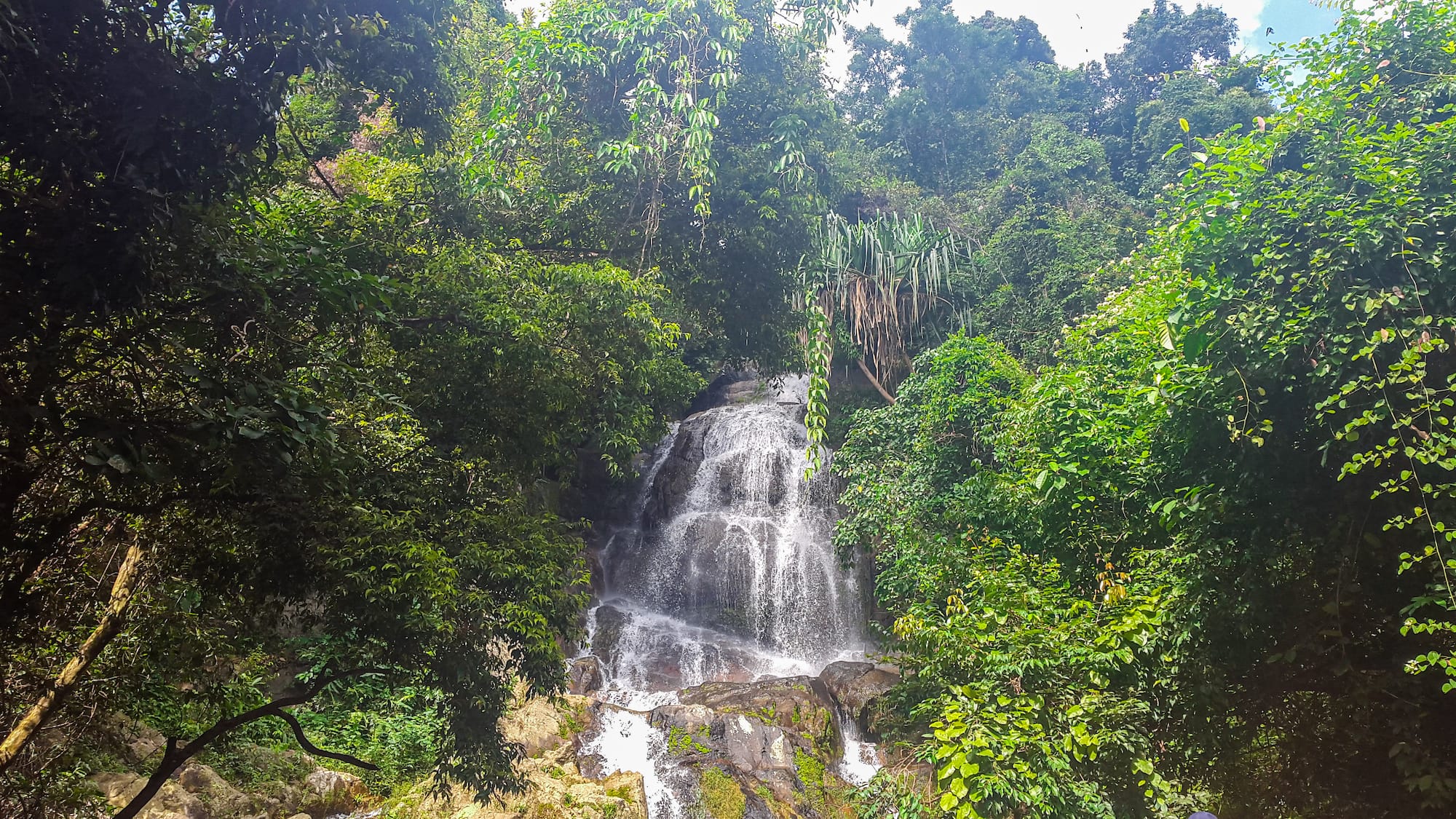 a waterfall in the middle of a forest