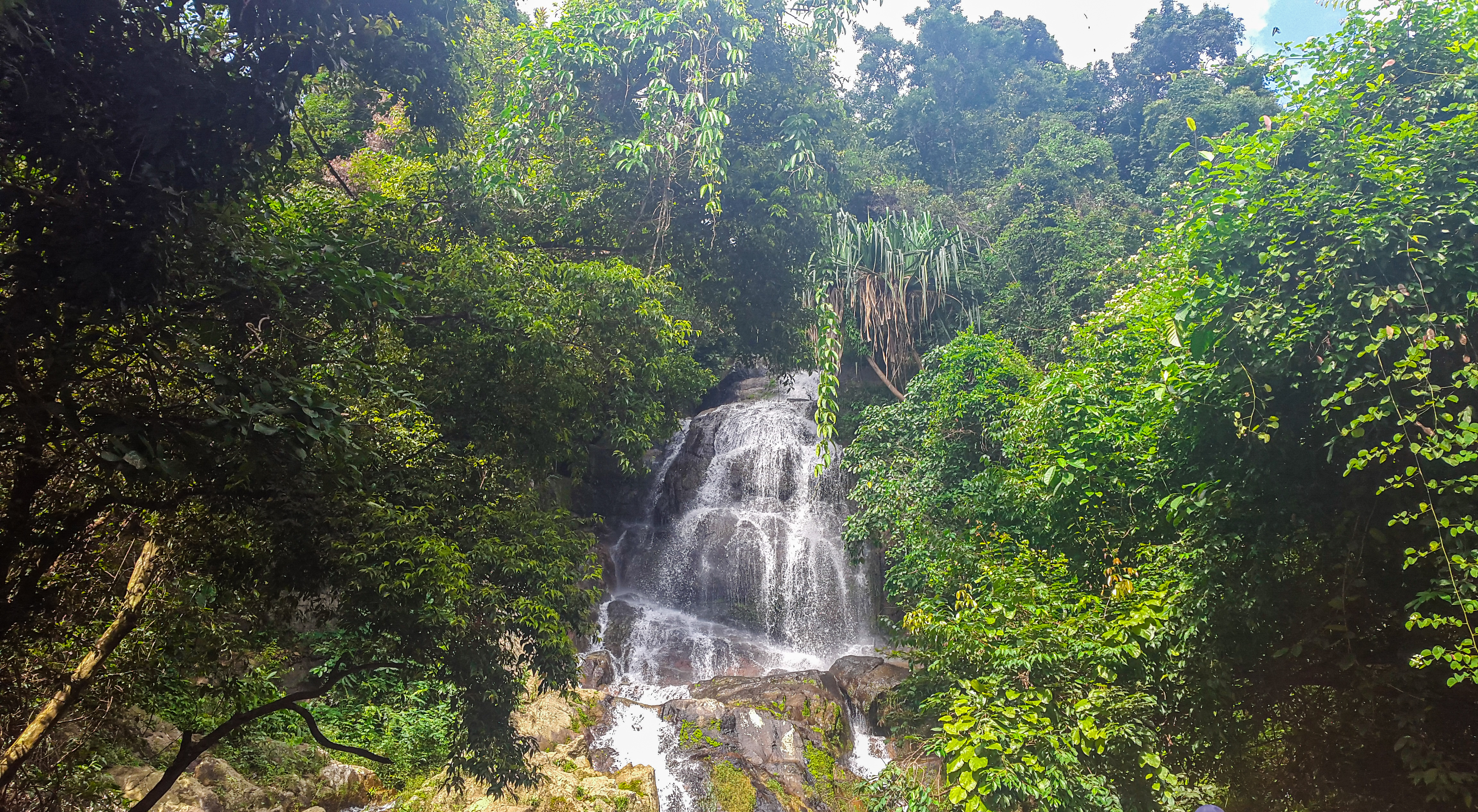 a waterfall in the middle of a forest