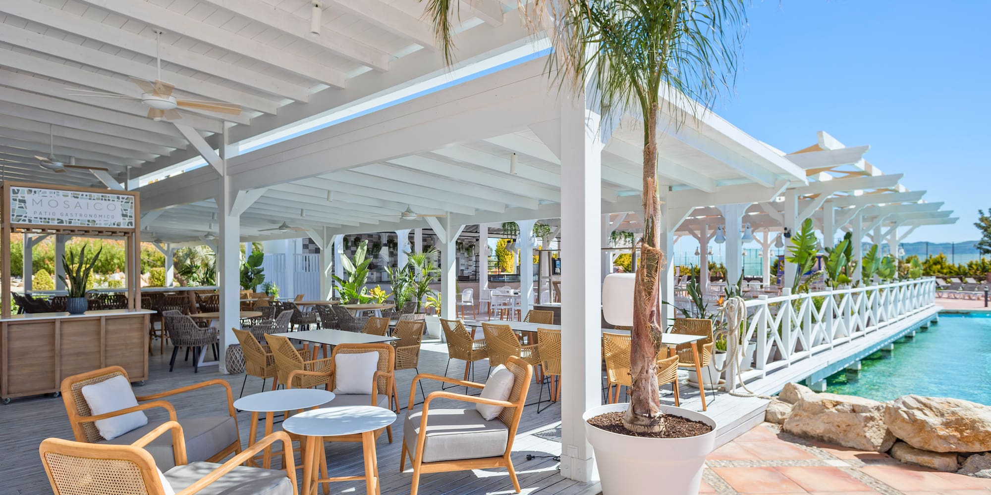 a patio with tables and chairs and a palm tree