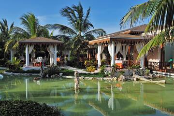 a building with a pond and palm trees