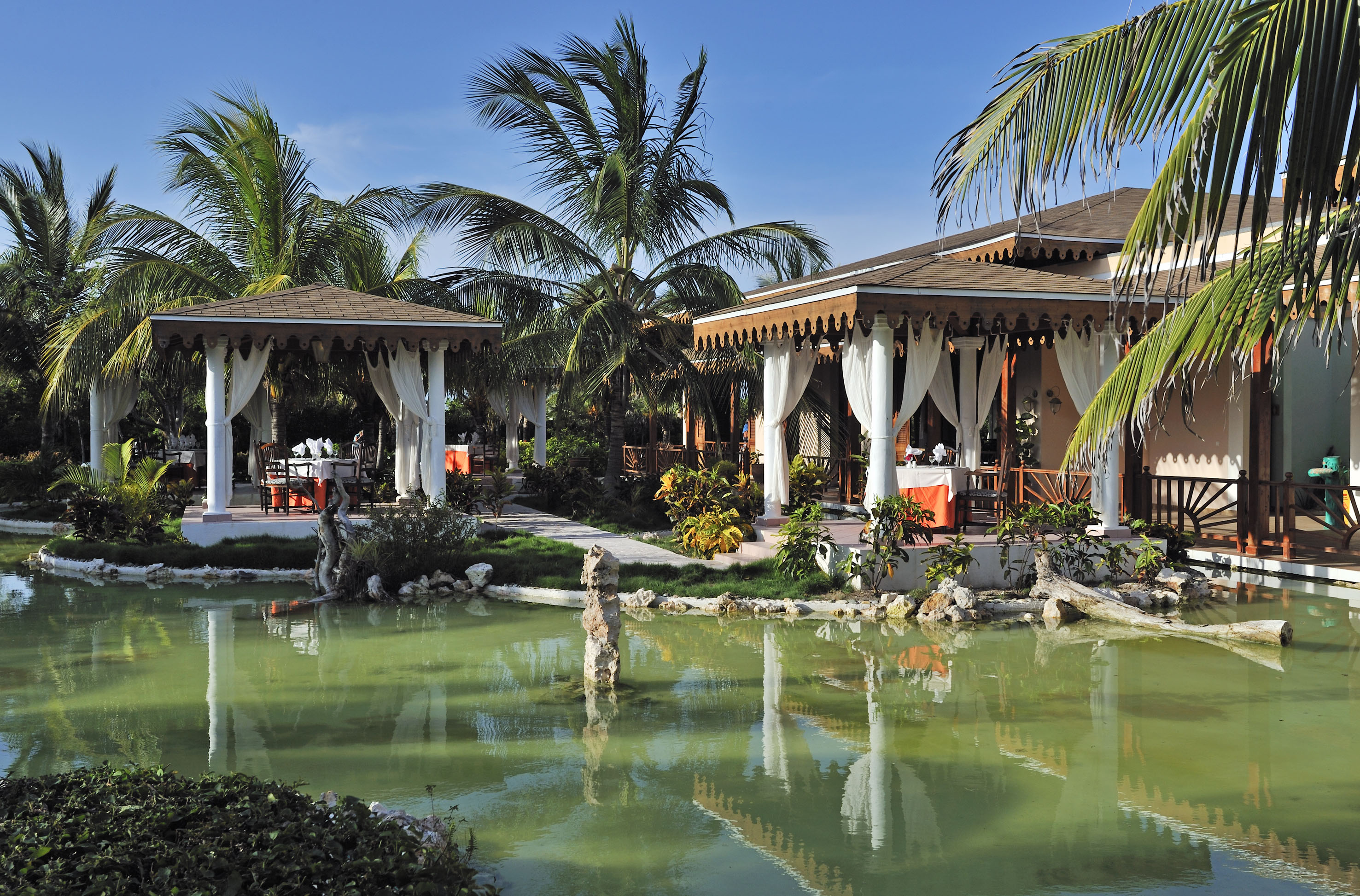 a building with a pond and palm trees