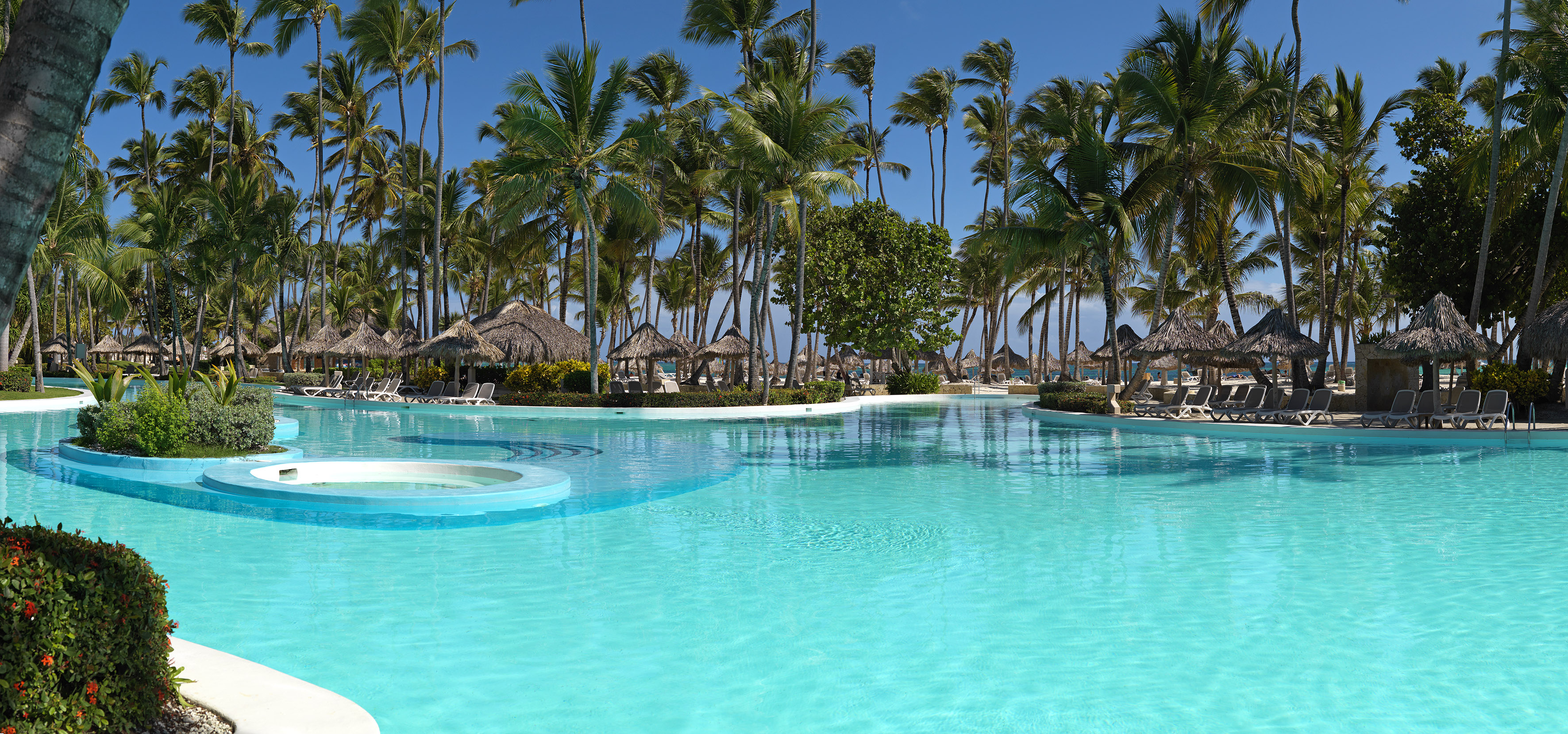 Tropical resort pool with palm trees, thatched palapas, and sun loungers.