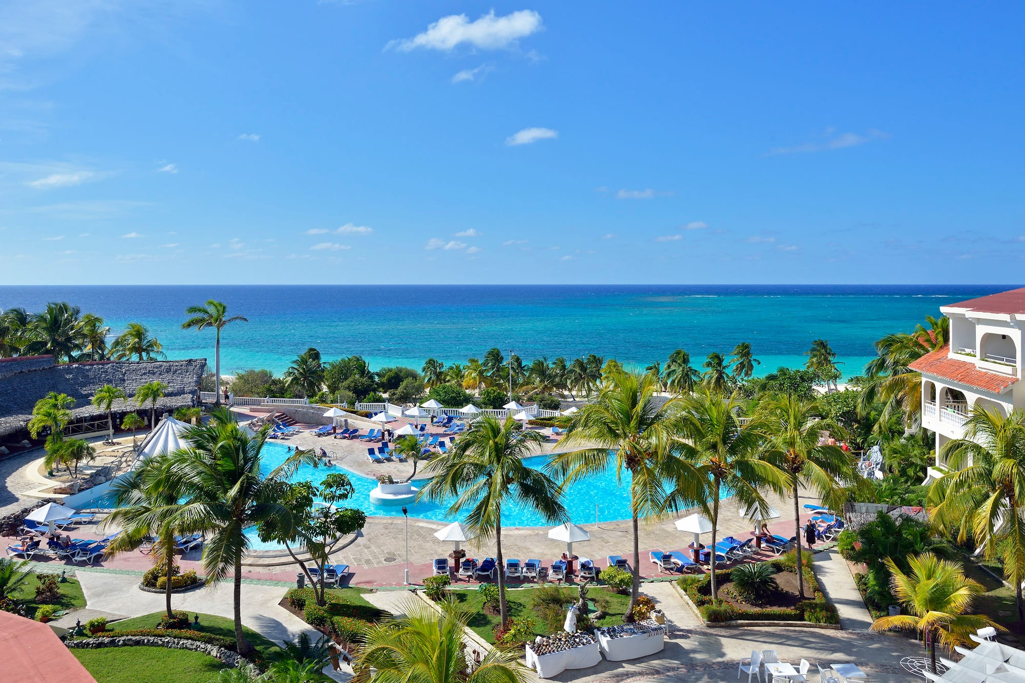 a pool with palm trees and a body of water