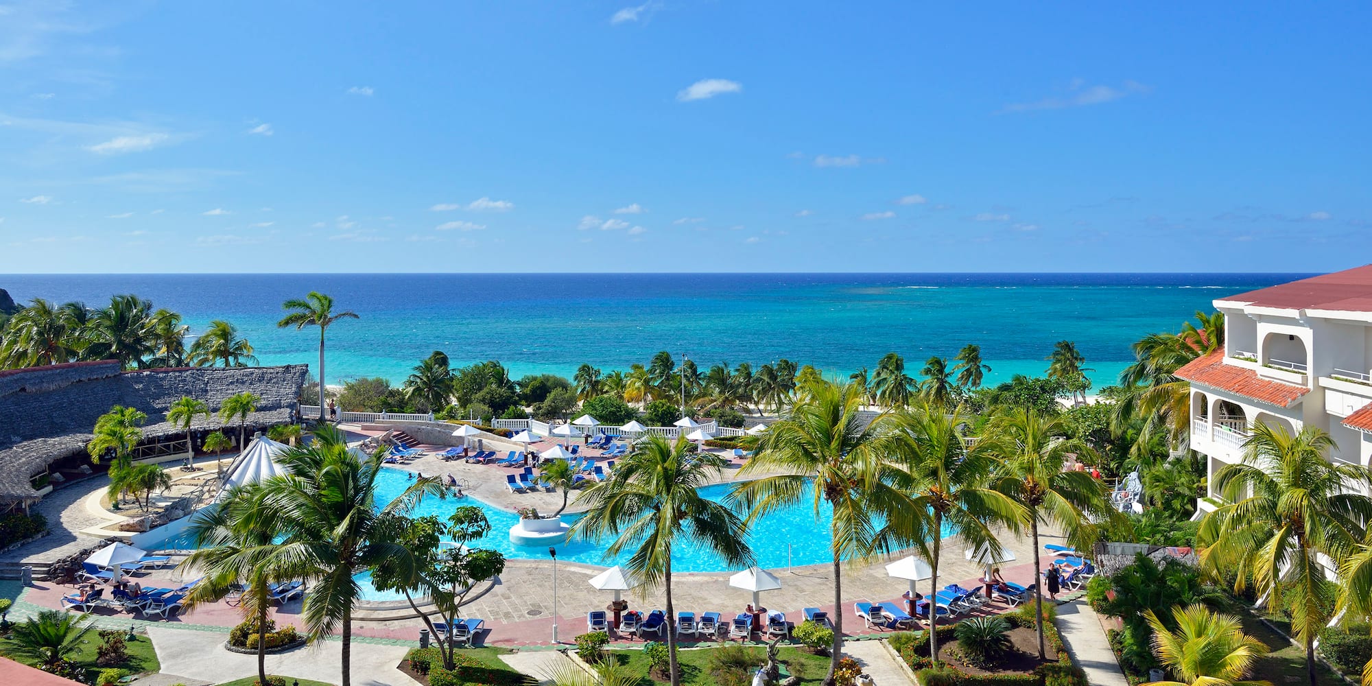 a pool with palm trees and a body of water