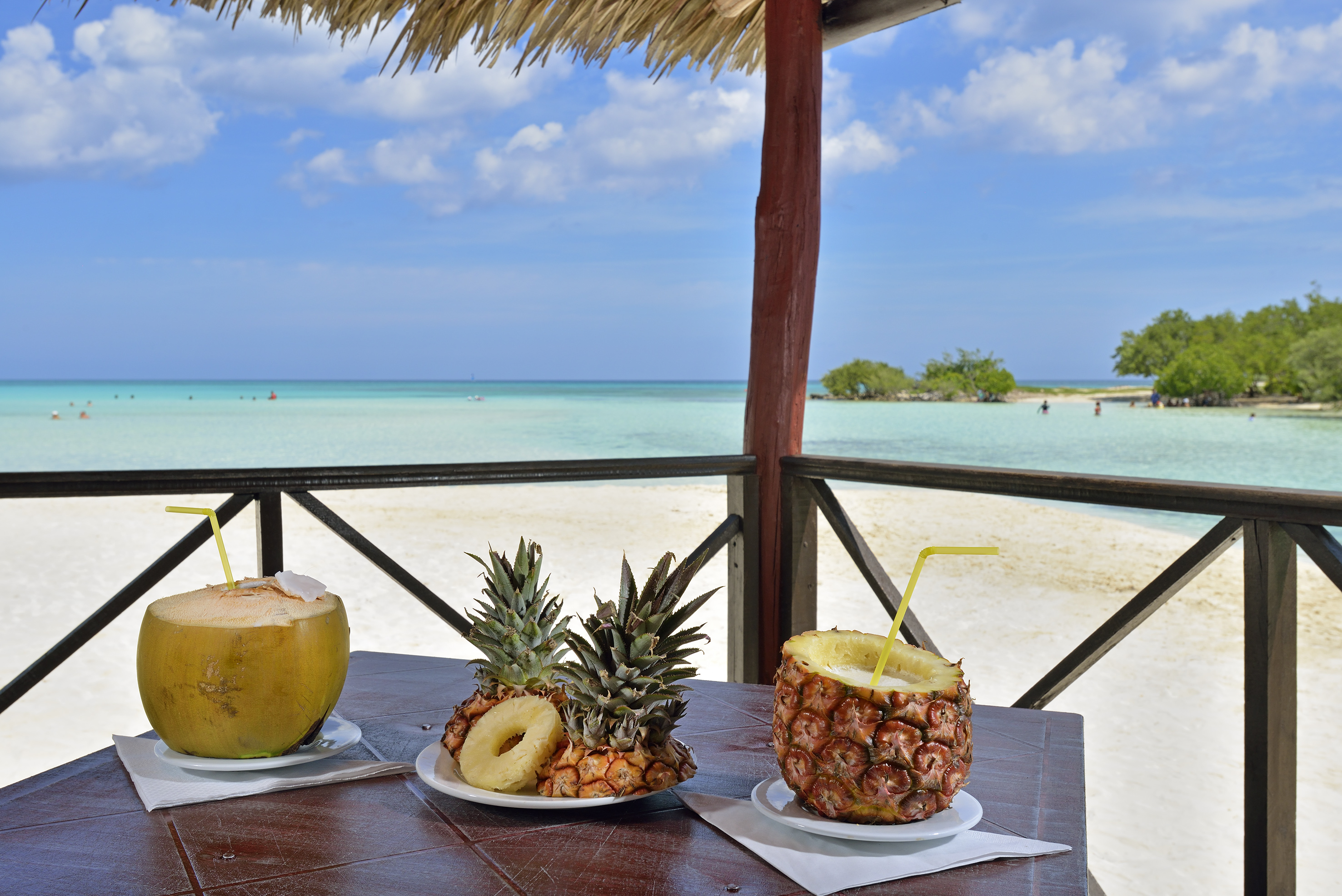a table with plates of fruit and a drink on it