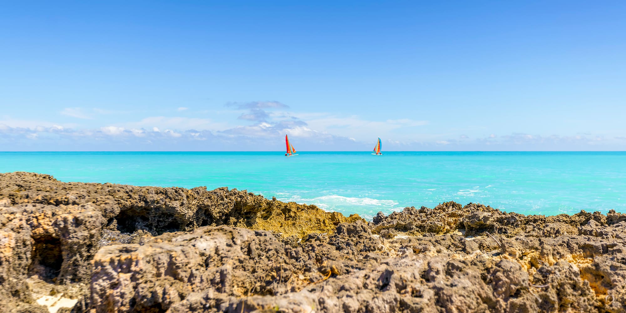a group of sailboats in the ocean