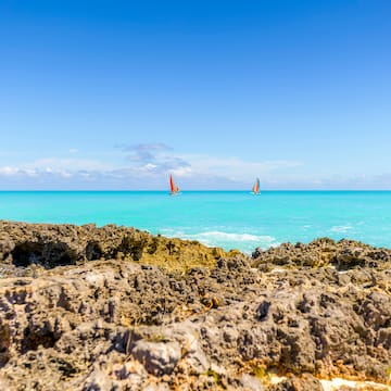 a group of sailboats in the ocean