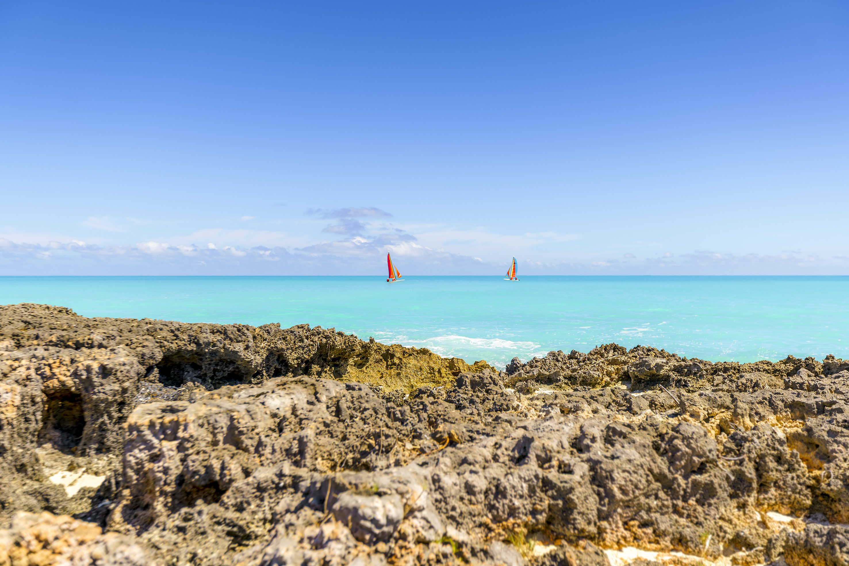 a group of sailboats in the ocean