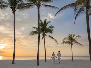 a man and woman holding hands on a beach with palm trees