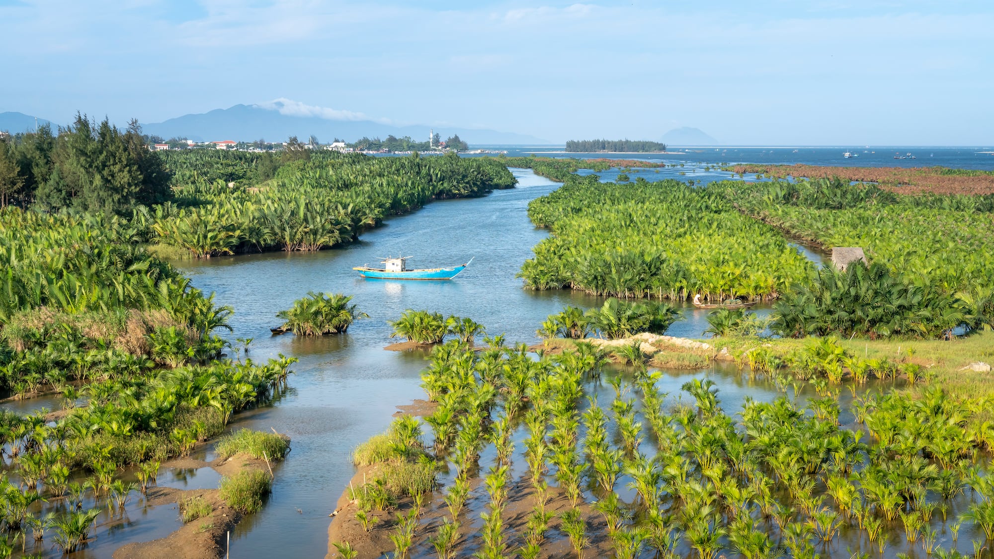 a boat in a river surrounded by plants
