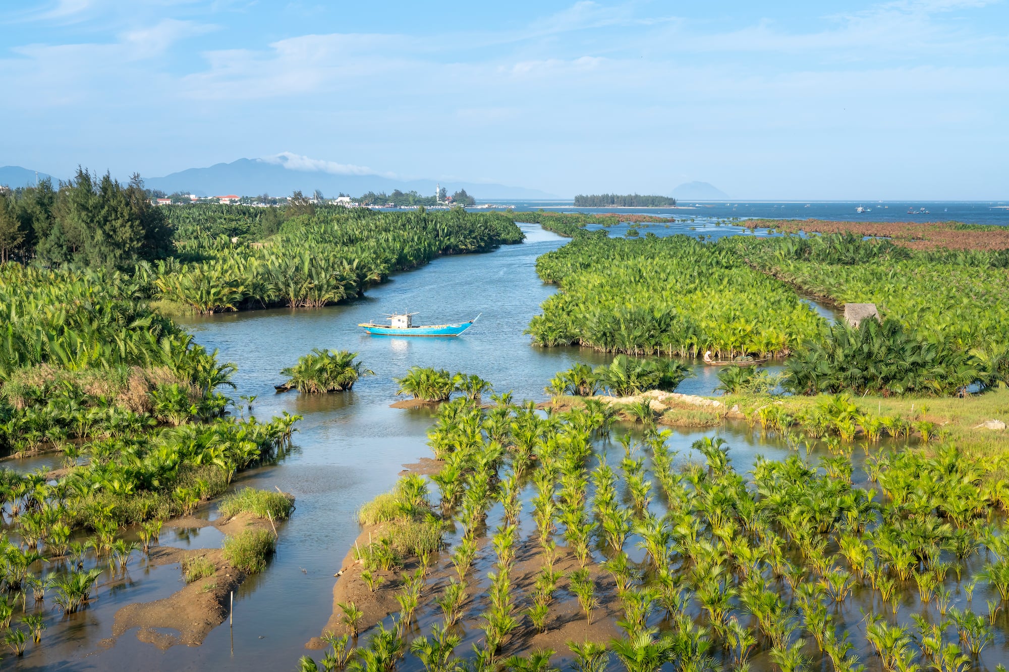 a boat in a river surrounded by plants