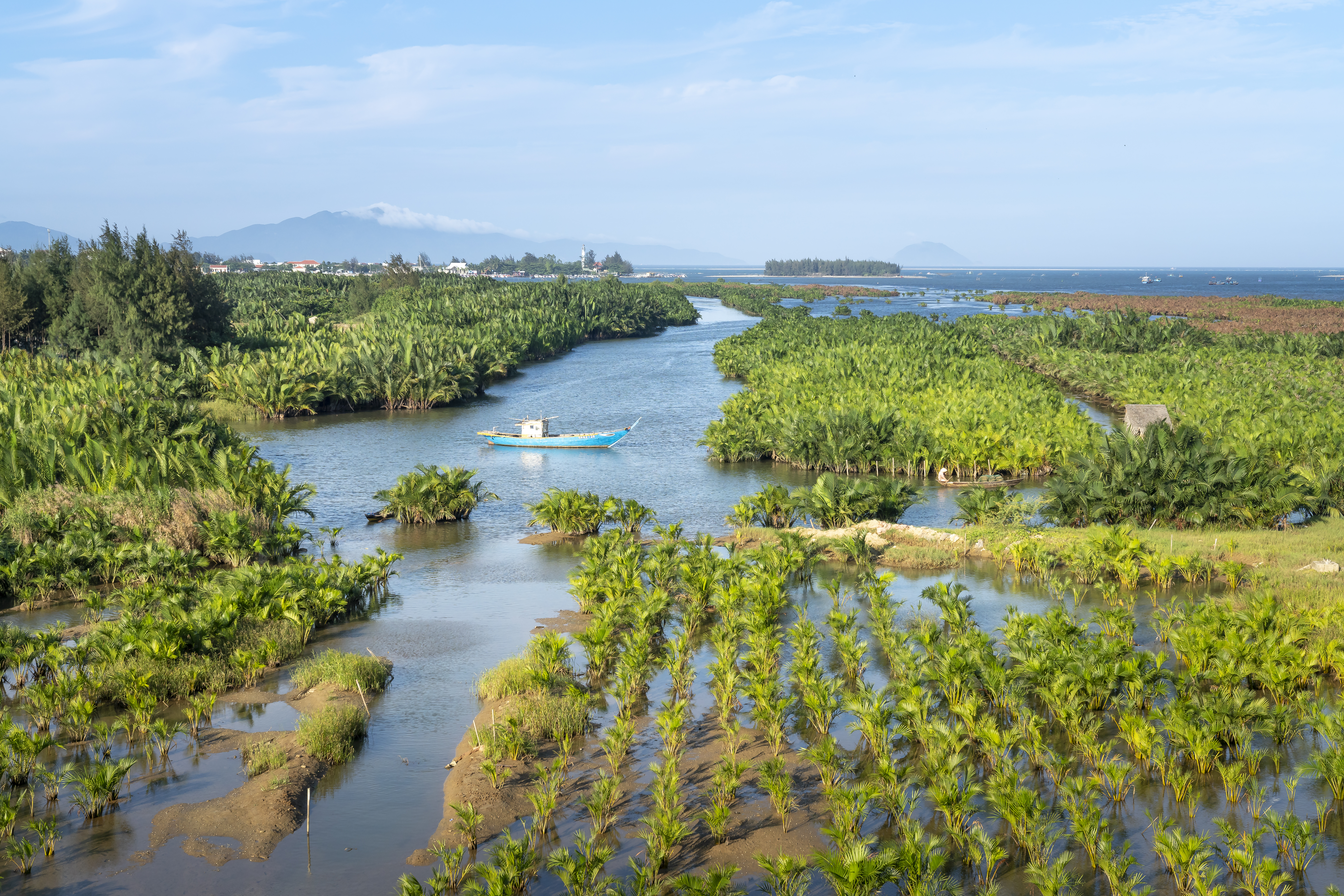 a boat in a river surrounded by plants