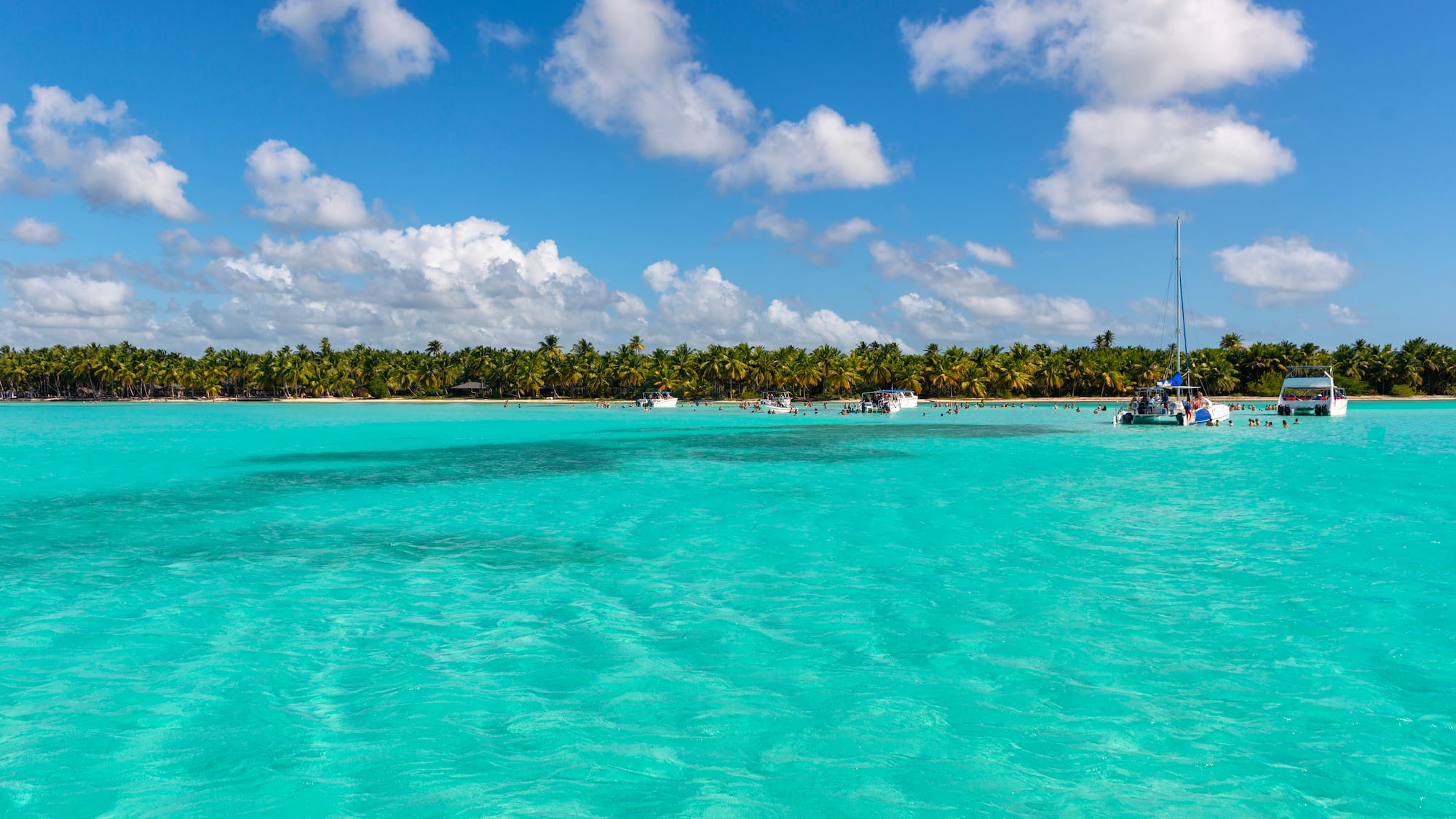 a body of water with boats and trees in the background