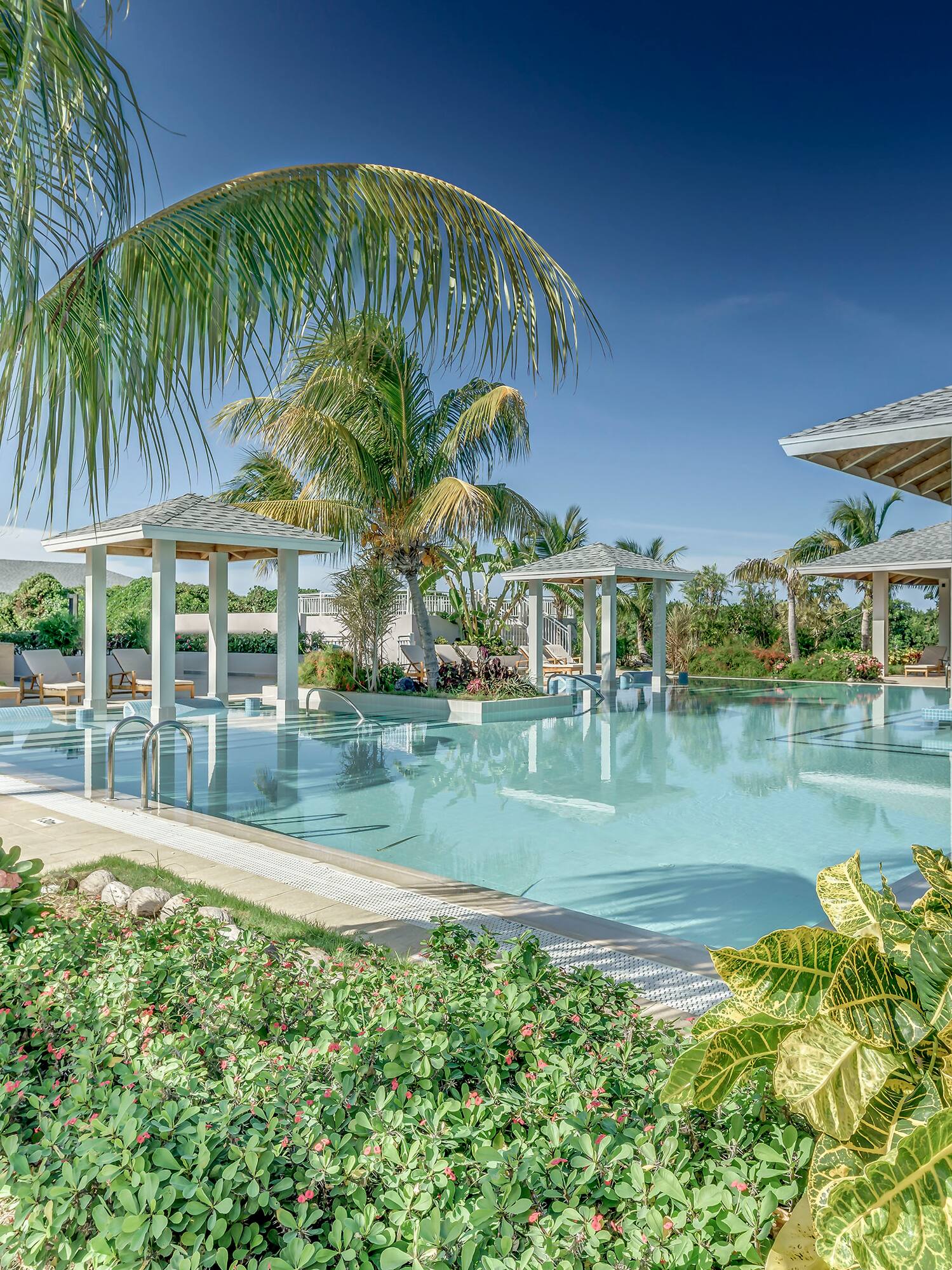 a pool with palm trees and a pool with a deck and chairs