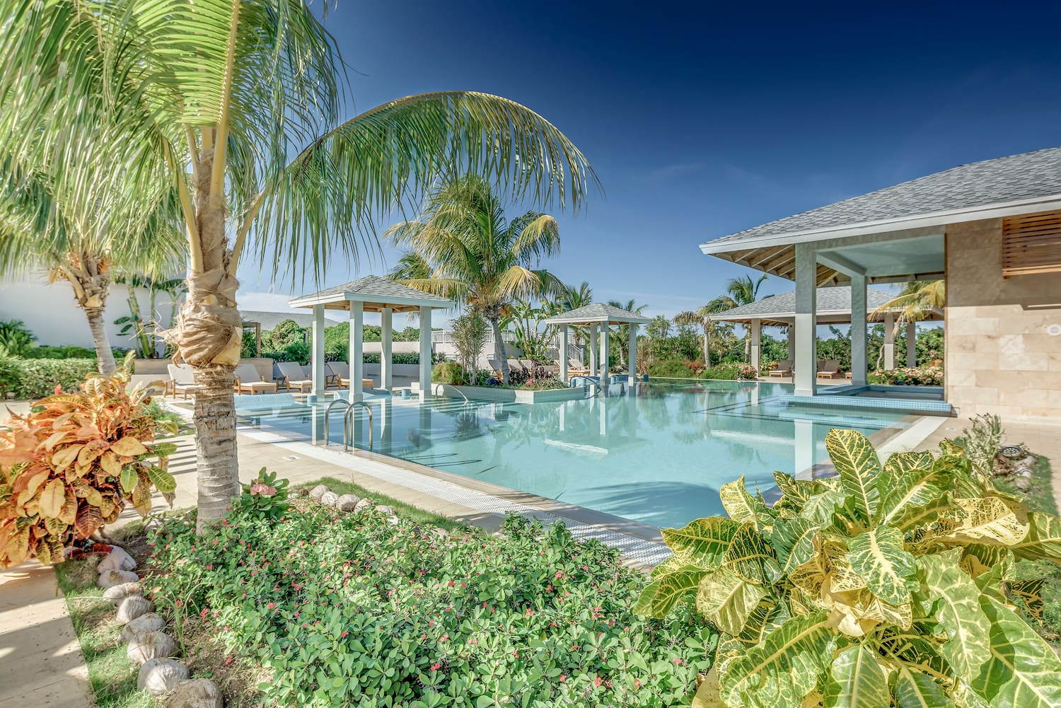 a pool with palm trees and a pool with a deck and chairs