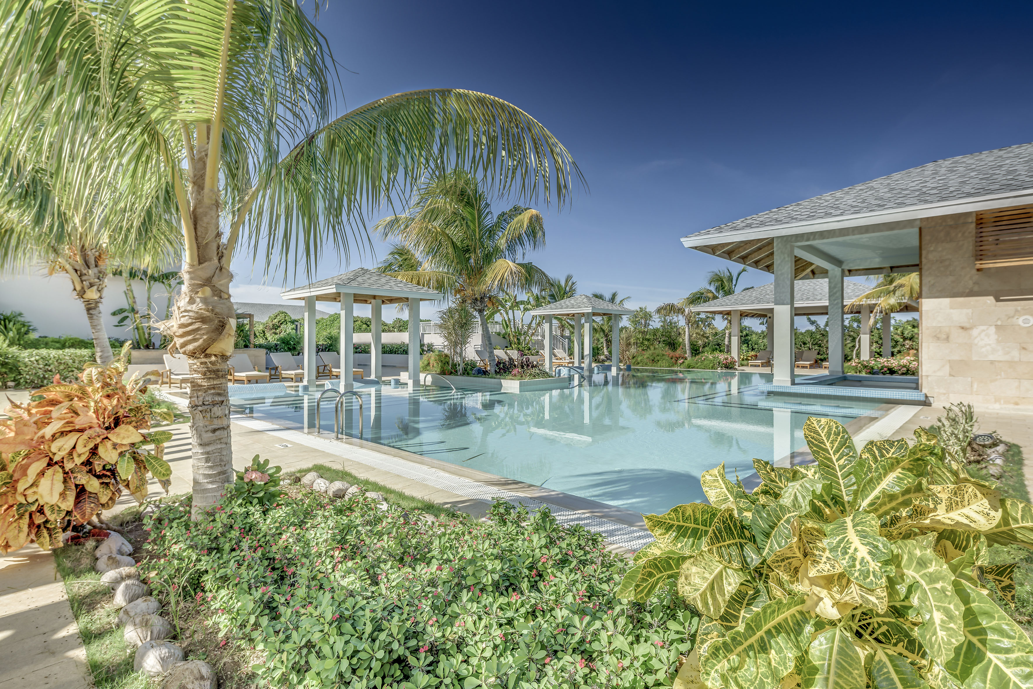 a pool with palm trees and a pool with a deck and chairs