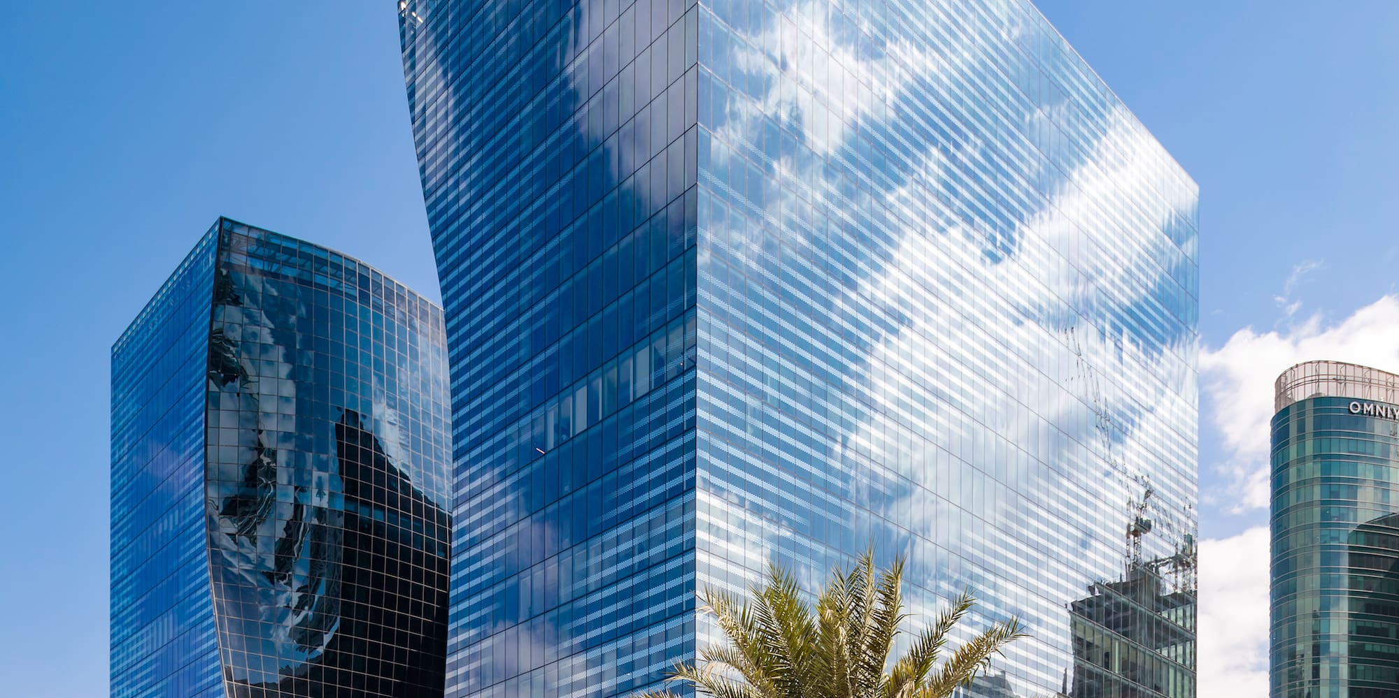 a tall glass building with palm trees