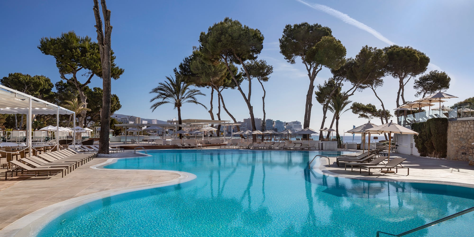 a pool with trees around it