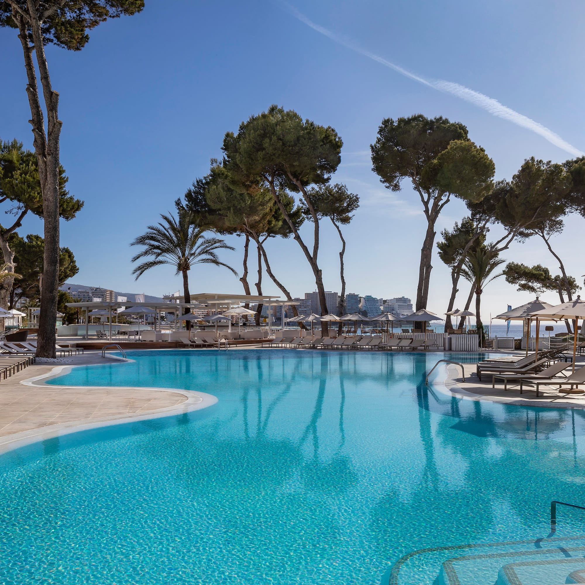 a pool with trees around it
