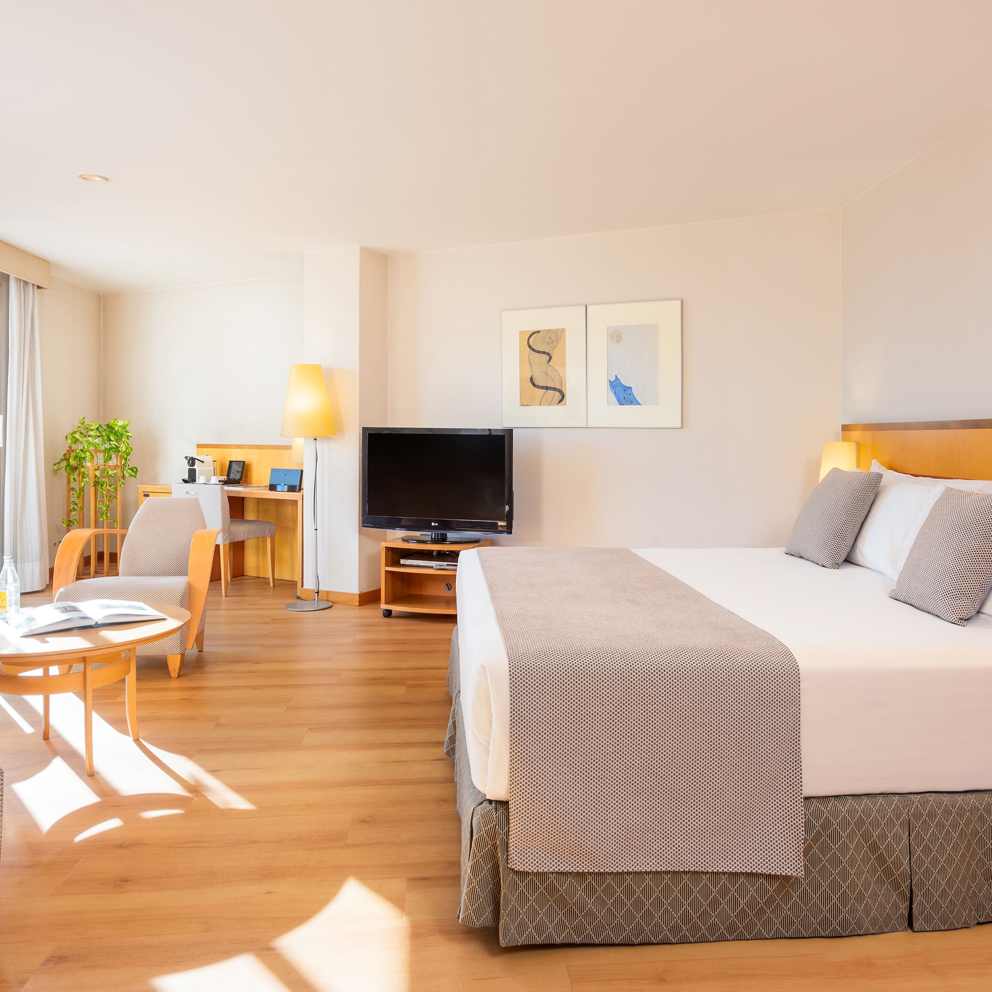 a room with a bed and a television