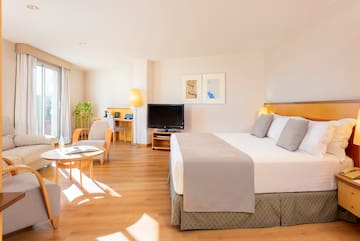 a room with a bed and a television