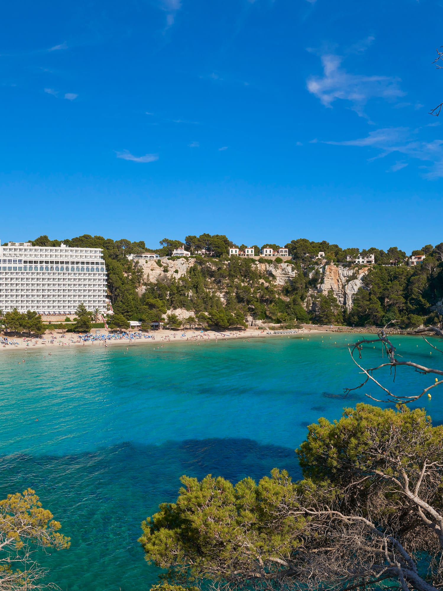 a body of water with trees and buildings in the background