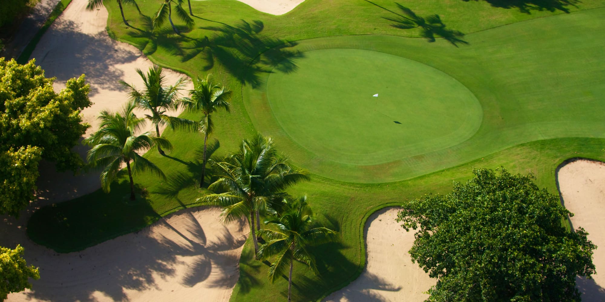 a golf course with palm trees