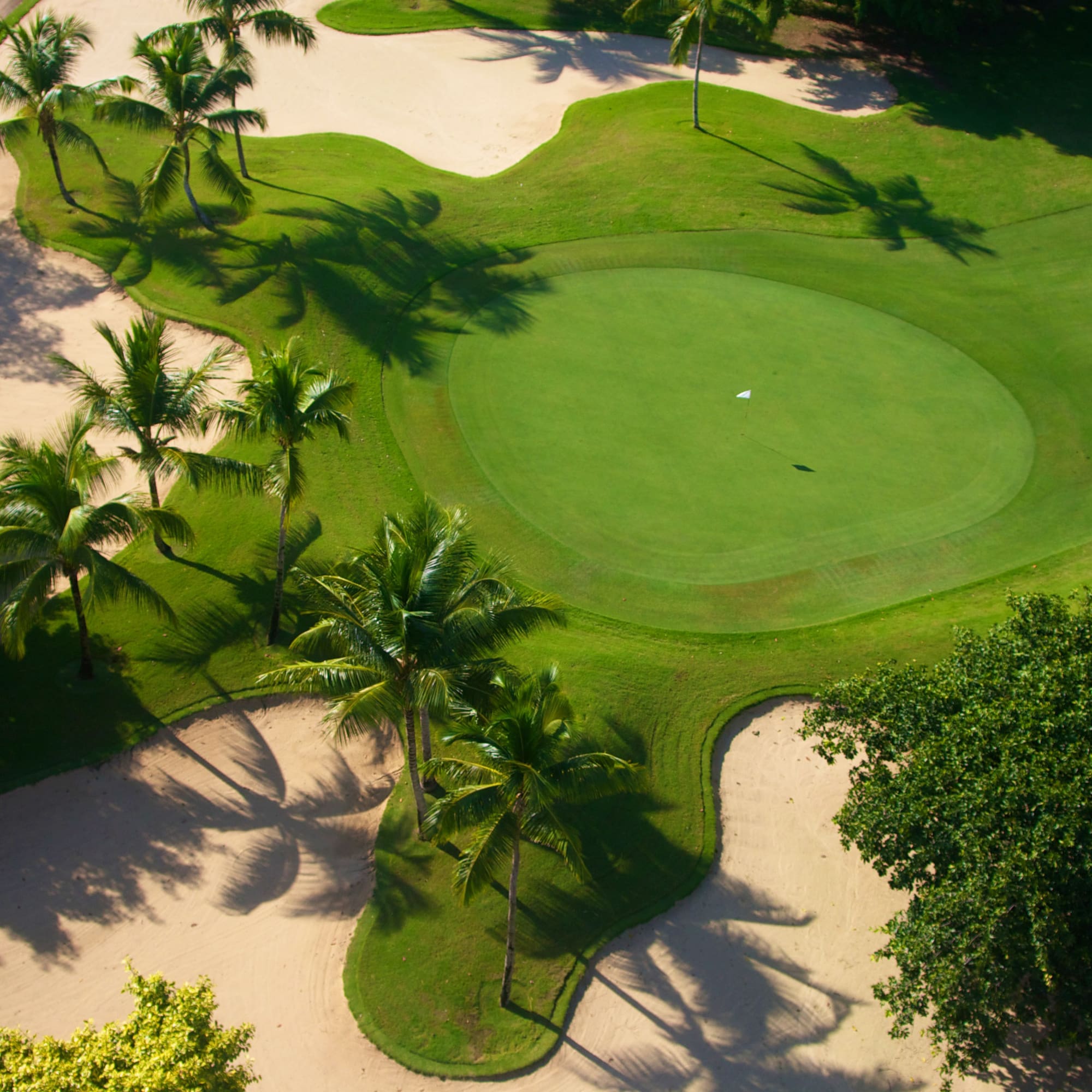 a golf course with palm trees