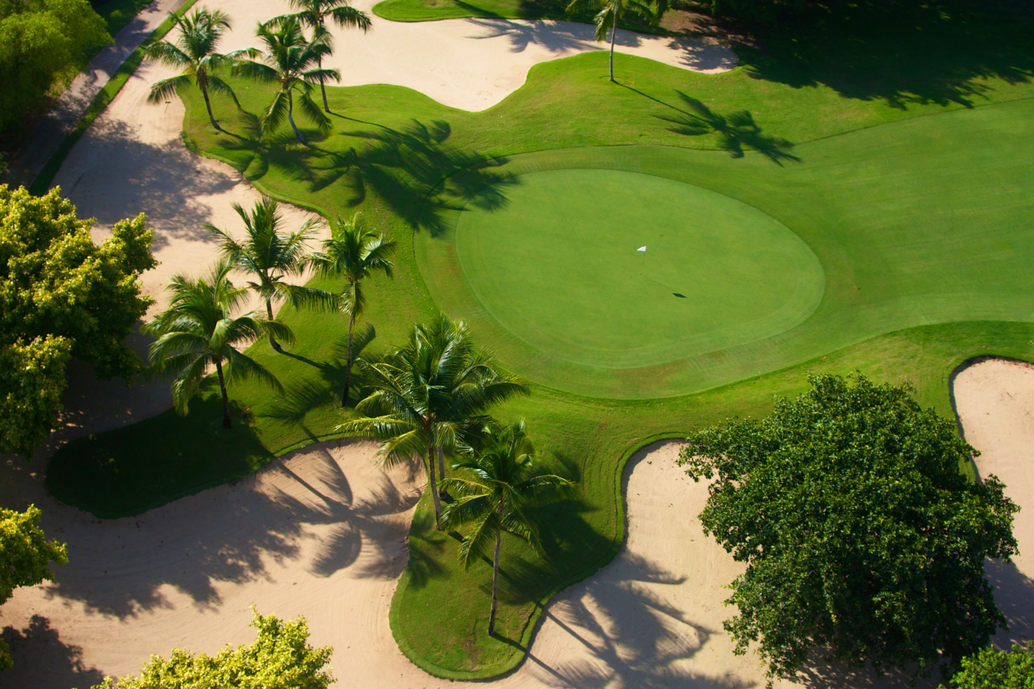 Aerial tropical golf course with putting green, sand bunkers, and palm trees.