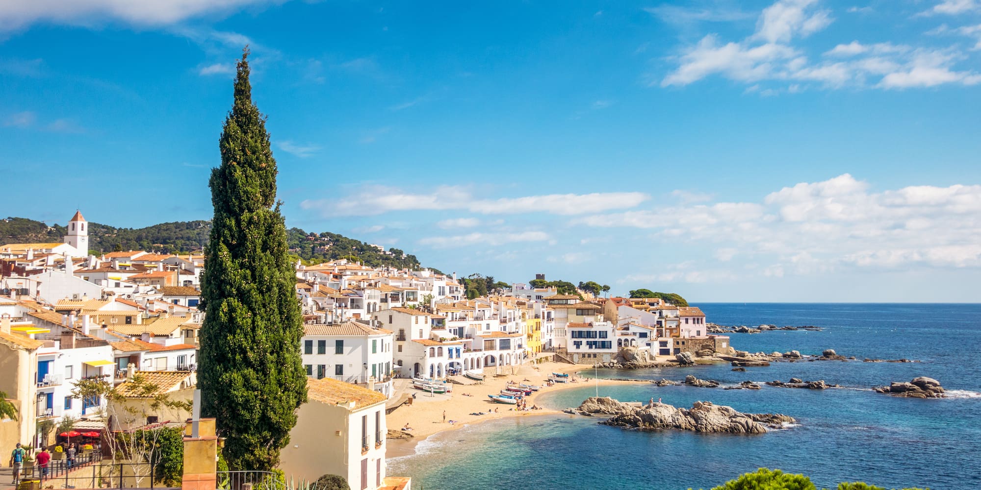 a beach with buildings and trees