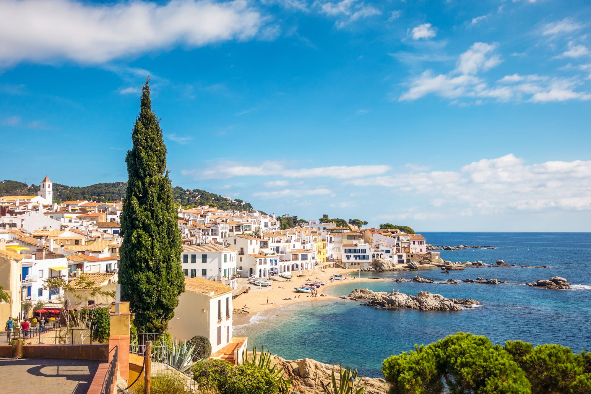 a beach with buildings and trees