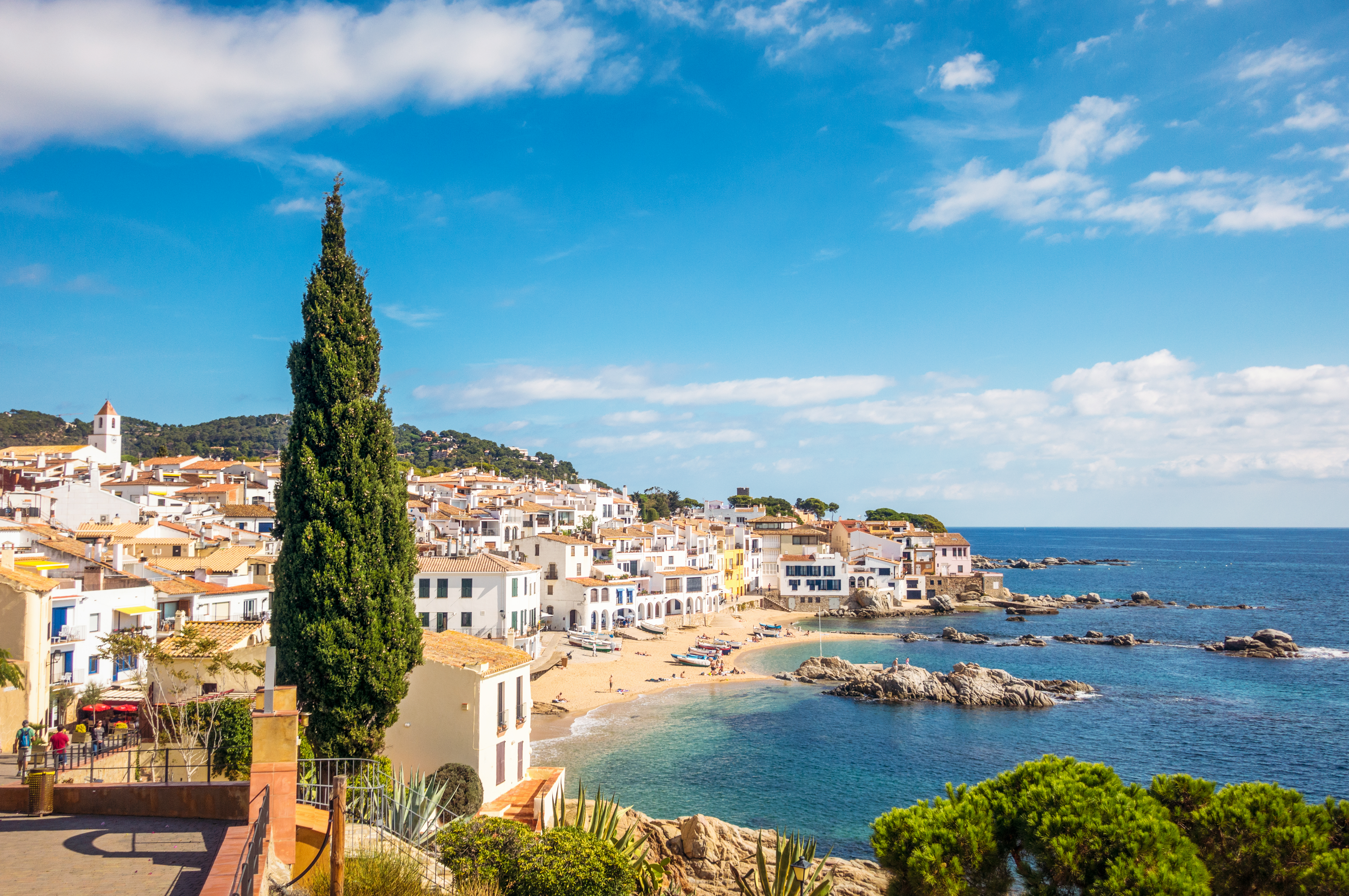 a beach with buildings and trees